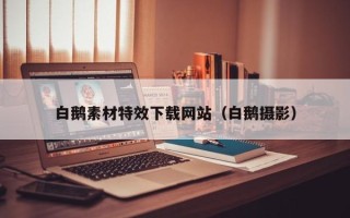 固原白鹅素材特效下载网站（白鹅摄影）